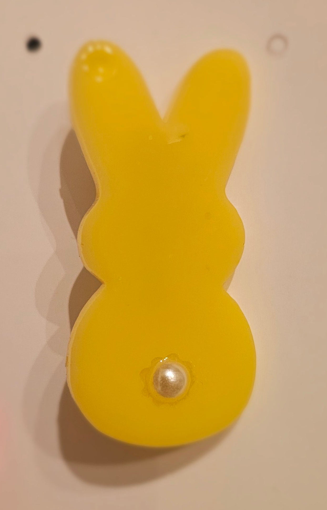 Sugar Bunny