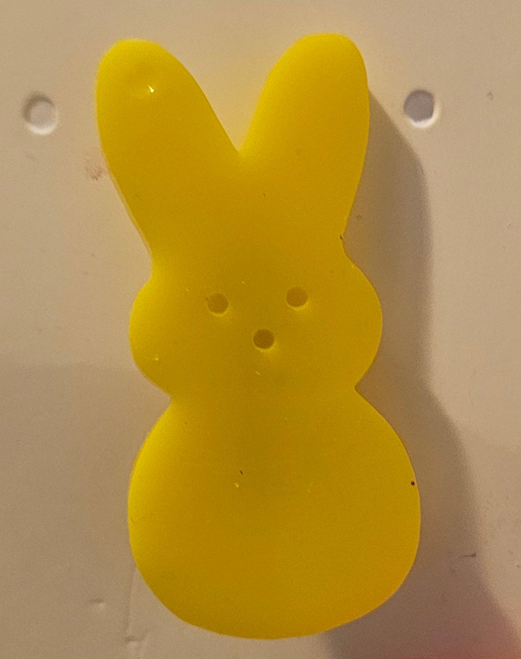Sugar Bunny